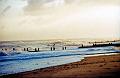 Nov_2006_sli_Happisburgh_035