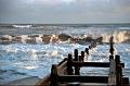 Nov_2006_sli_Happisburgh_037